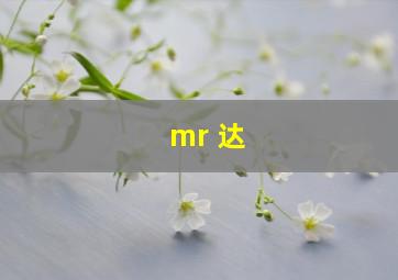 mr 达